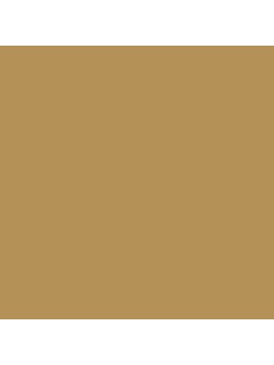 F�rgbyte Standardkul�r Ockragul NCS S 3040-Y10R