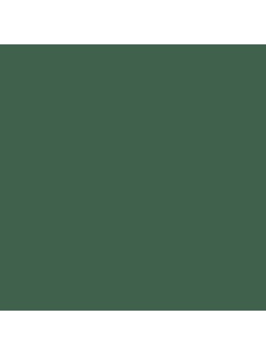 F�rgbyte  Gr�n NSC S 6020-G10Y