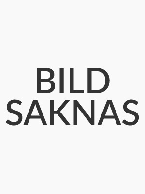 Laminerat skerhetsglas invndigt  Lamell 6,38 inv.