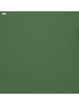 F�rgbyte Insida Gr�n NCS S 5020-G30Y 